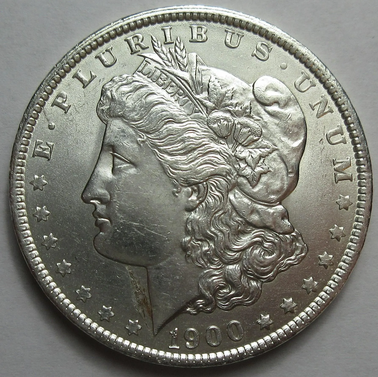 morgan silver dollar