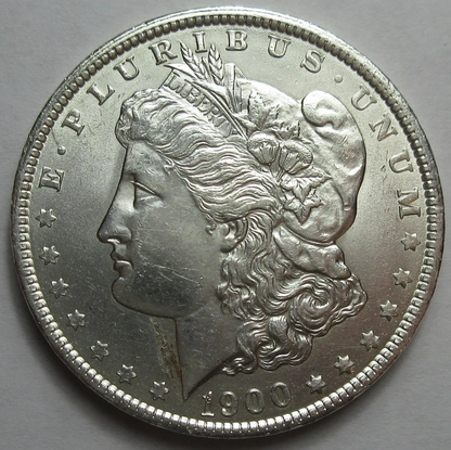 morgan silver dollar