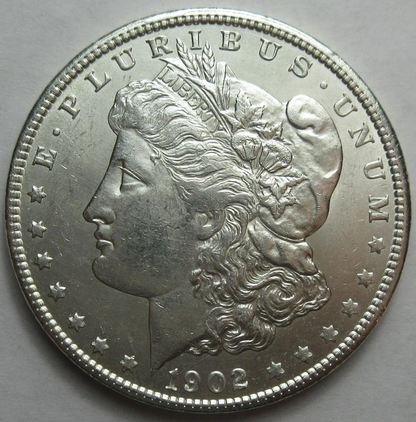 morgan silver dollar