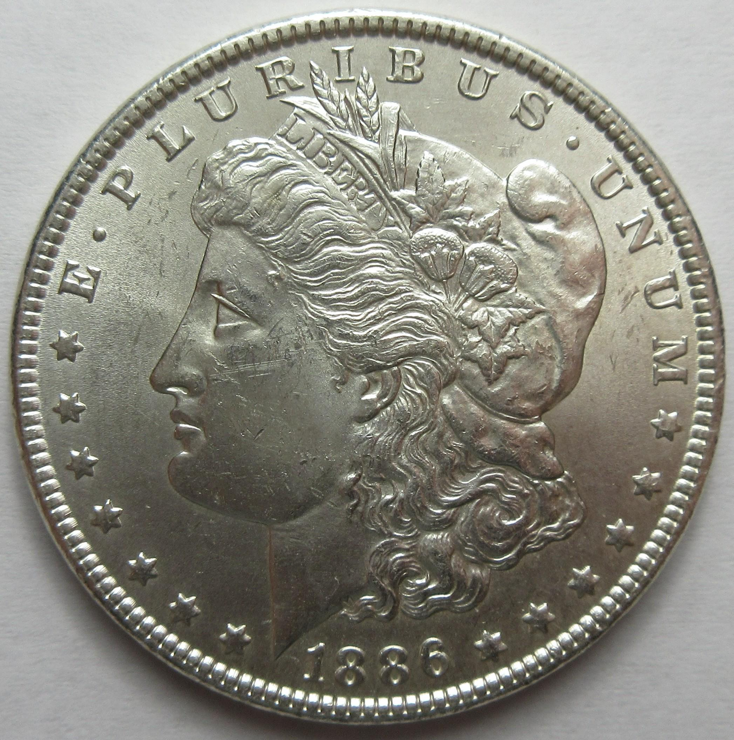 morgan silver dollar