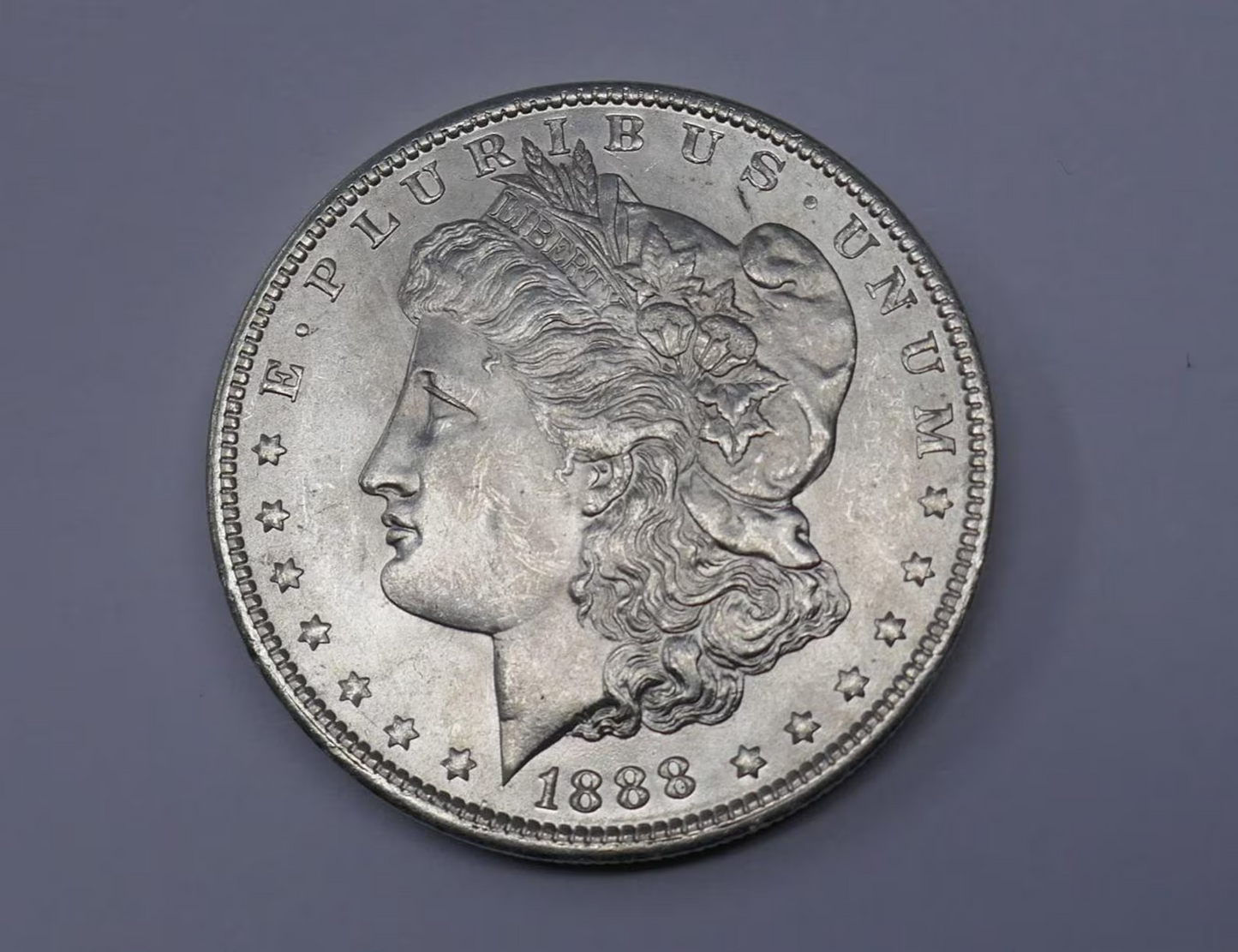 morgan silver dollar