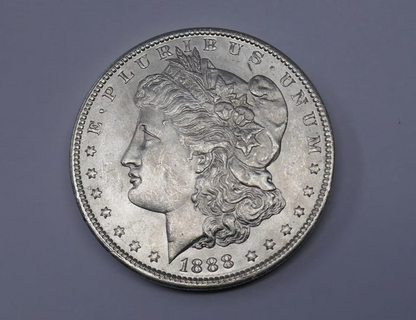 morgan silver dollar