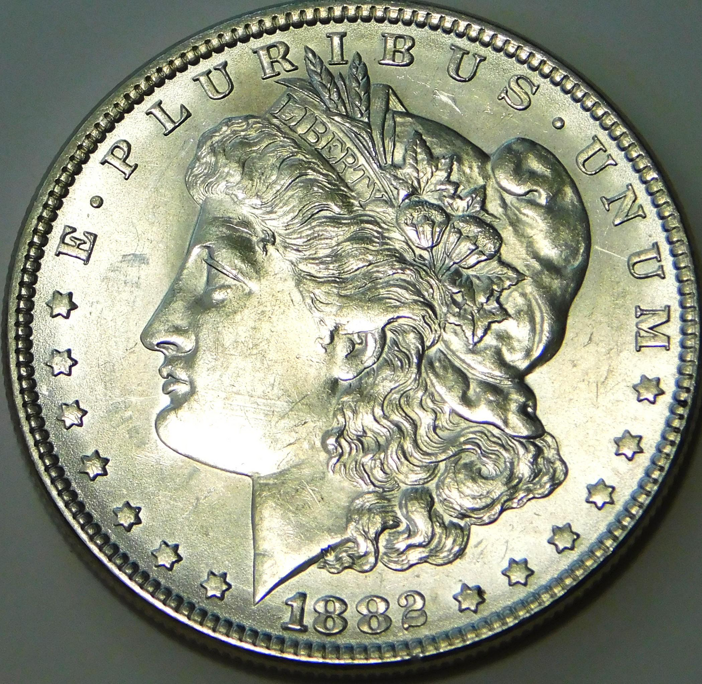 morgan silver dollar